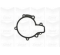 Z20DM Z20DMH Garnitura pompa apa Opel Antara 2.0 original GM