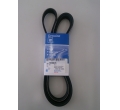 Curea alternator Chevrolet Aveo T200 / Kalos GM