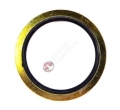 98080996 5650519 O-ring surub corp filtru ulei Opel Astra G 1.7 original GM