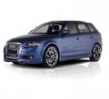 Audi A3 Sportback (8PA) 09.04-