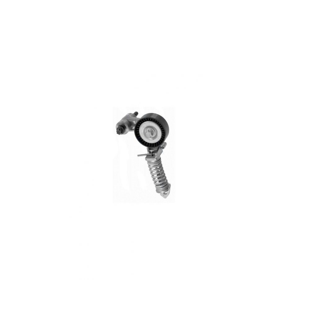 Rola intinzatoare curea de accesorii GM